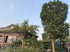 -鹅湖玫瑰文化园