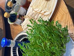 -尚海豆捞(乐虹坊店)