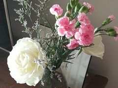 -晓鲜熊猫烤鱼烤吧(西三旗百汇北门店)