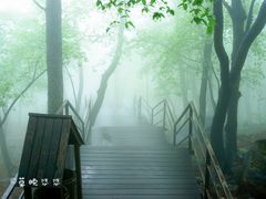 -沂蒙山旅游区云蒙景区(蒙山国家森林公园)