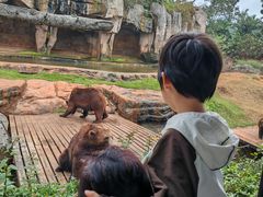 -海南热带野生动植物园