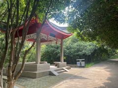 -菊花台公园