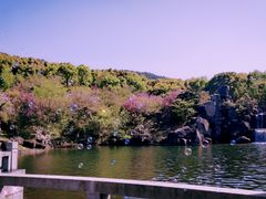 -白马涧龙池景区