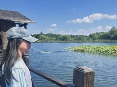 -溱湖国家湿地公园