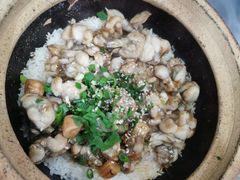 -红星光发煲仔饭(大石街店)