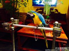 -那家小馆•北京菜•烤鸭(中关村店)