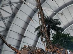 -辽宁古生物博物馆