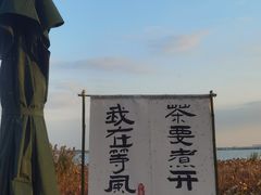 -莲花岛景区