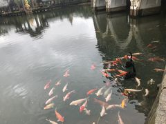 -深圳东部华侨城茵特拉根酒店