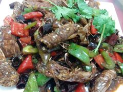 佳烁特色皮皮虾-烁佳海鲜大馅饺子