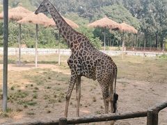 -北京野生动物园