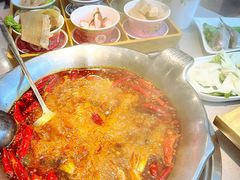 -渝大龙重庆火锅(温泉月亮湾店)