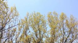 -莲七珠宝(西万达店)