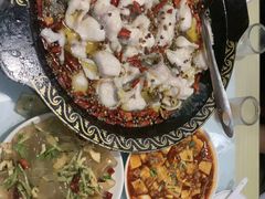 -金三可市井水煮鱼(金碧园店)