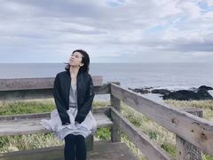 -企鹅岛