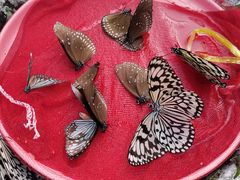 -水濂山森林公园