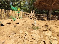 -青岛森林野生动物世界