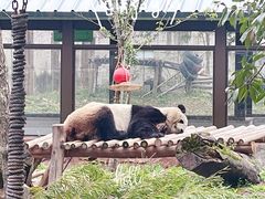 -安吉竹博园