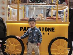 -羲和雅苑•北京烤鸭(国贸商城店)