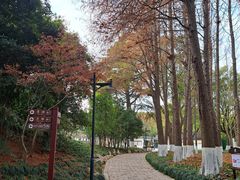 -瀛洲公园
