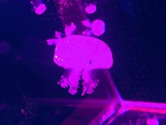 -多彩贵州城极地海洋世界