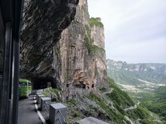 -王莽岭风景区
