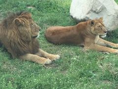 -西安秦岭野生动物园