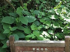 -道须沟旅游风景区