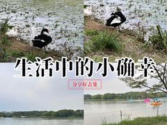 -昆山城市生态森林公园