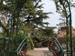 景点-信号山公园