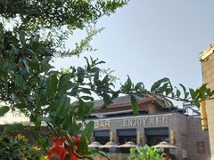 -薇酌饮·陕西菜(南门外店)