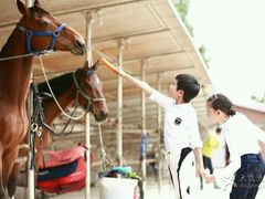 小会员在喂马-月河湾马术俱乐部(朝阳店)