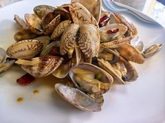 -鲁前海沿儿