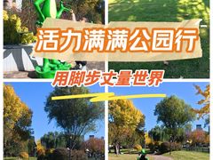 -济南奥林匹克体育中心体育场