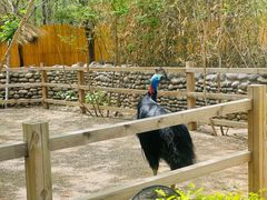 -北京野生动物园