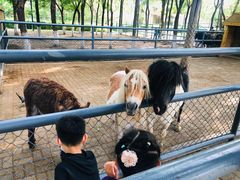 -长白岛森林公园