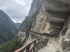 -鹿院坪生态旅游景区