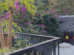 -院8里·少城记忆老川菜(宽窄巷子店)