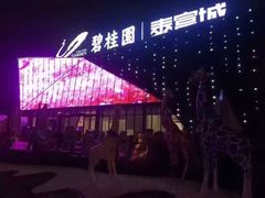 -碧桂园泰富城售楼部