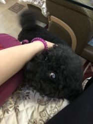 -杉惠素颜美妆皮肤管理中心