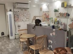 -楼上猫咖(罗湖店)