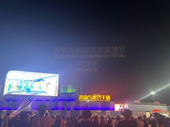 -第35届青岛国际啤酒节