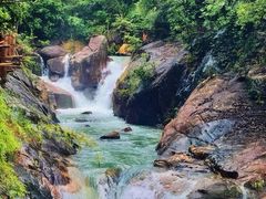 -广州白江湖森林公园