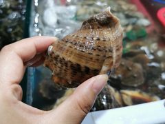 -四川人郑霞海鲜