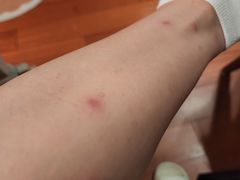 -杭州千岛湖开元度假村