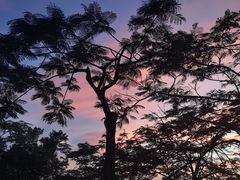 -仙人山公园