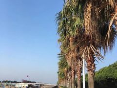 -大湾区中央湿地公园-十九涌