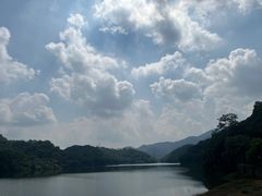 -广州市帽峰山景区