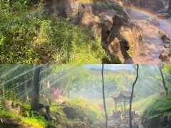 -雪山彩虹谷景区