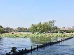-济南大明湖景区